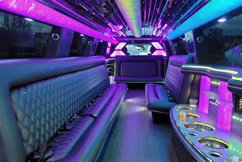 Mission Viejo Limo Interior