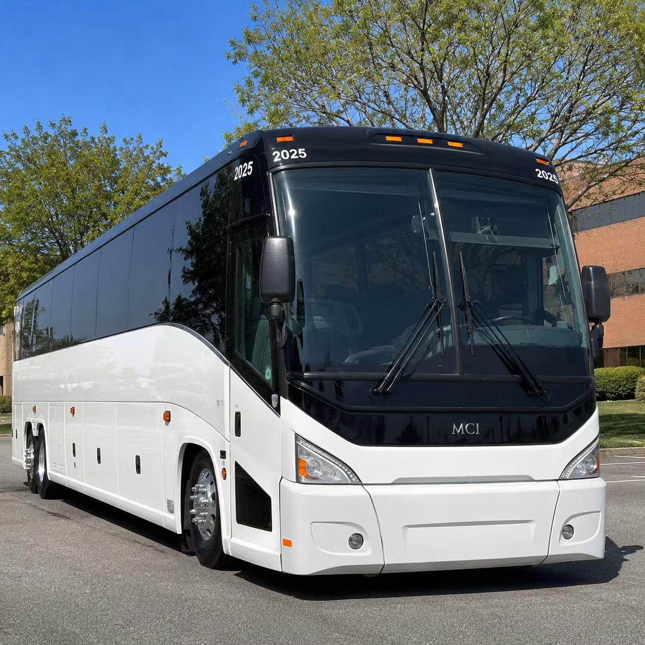 doheny state beach concerts and irvine amphitheater groups love a private bus rental